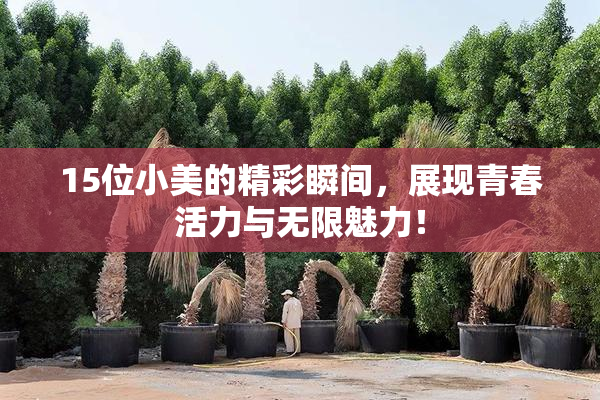 15位小美的精彩瞬间，展现青春活力与无限魅力！