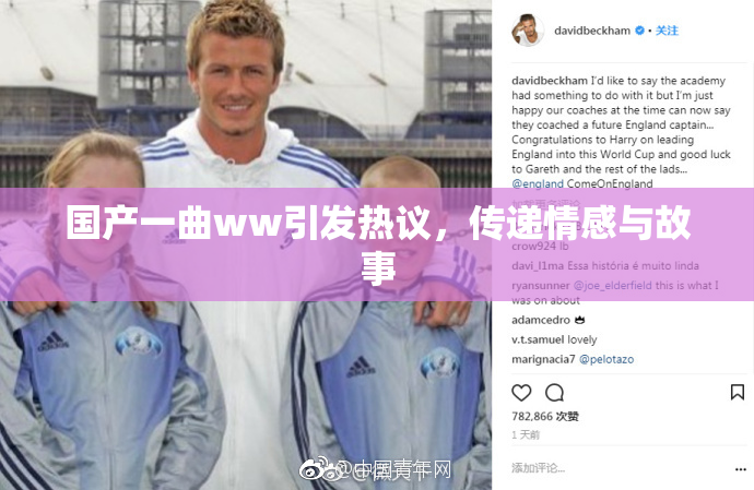 国产一曲ww引发热议，传递情感与故事