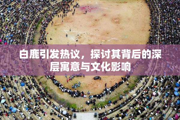 白鹿引发热议，探讨其背后的深层寓意与文化影响