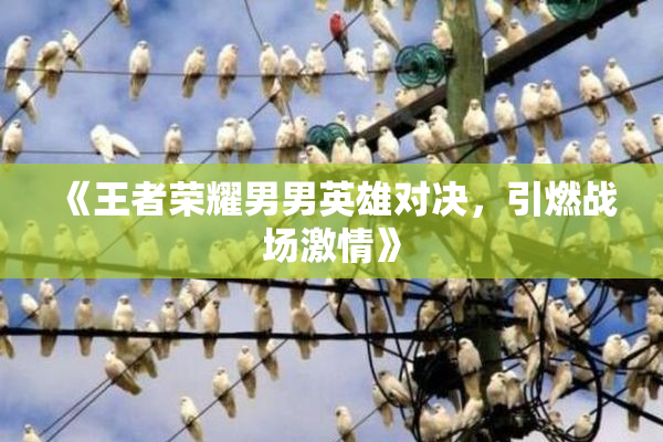 《王者荣耀男男英雄对决，引燃战场激情》