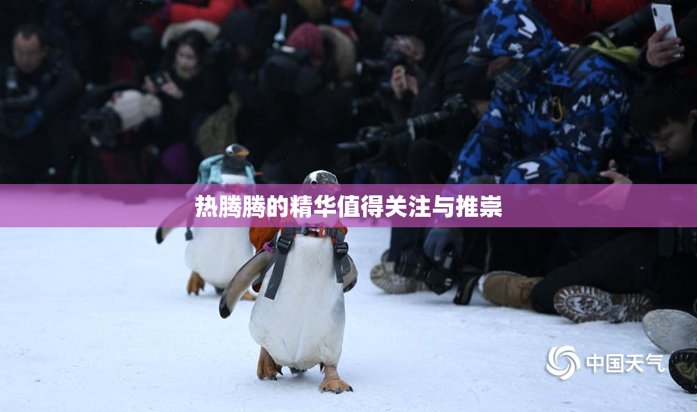 热腾腾的精华值得关注与推崇