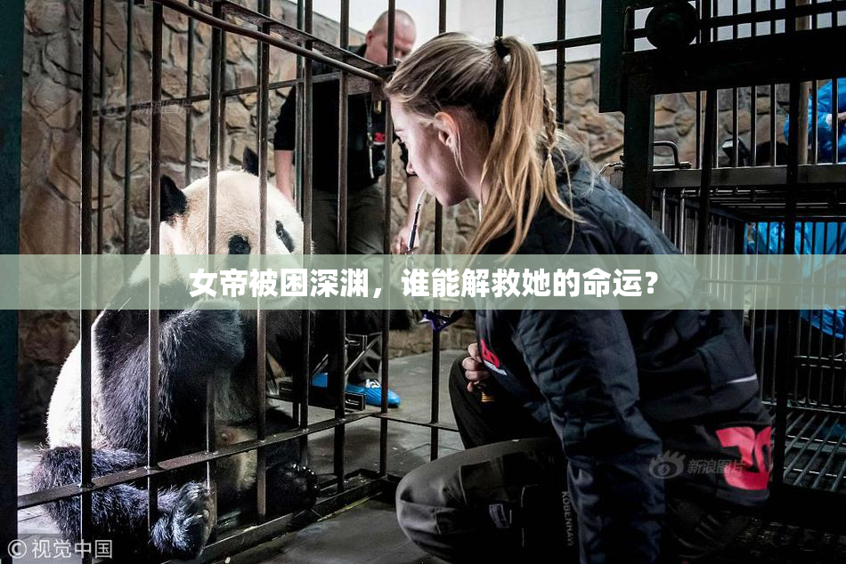 女帝被困深渊，谁能解救她的命运？