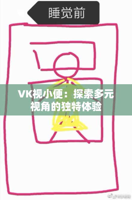VK视小便：探索多元视角的独特体验