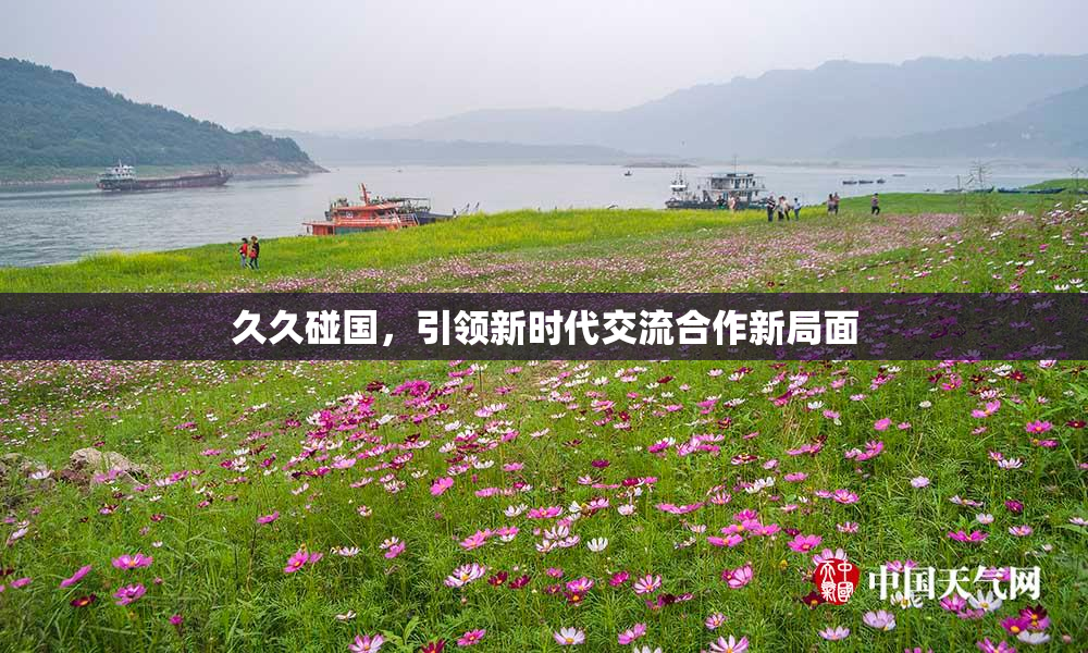 久久碰国，引领新时代交流合作新局面