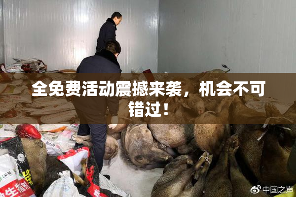 全免费活动震撼来袭，机会不可错过！