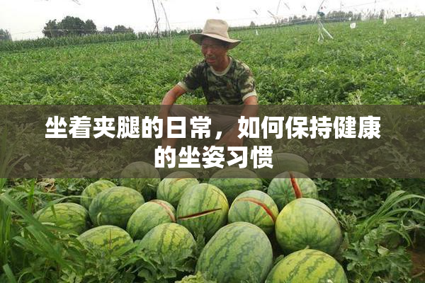 坐着夹腿的日常，如何保持健康的坐姿习惯