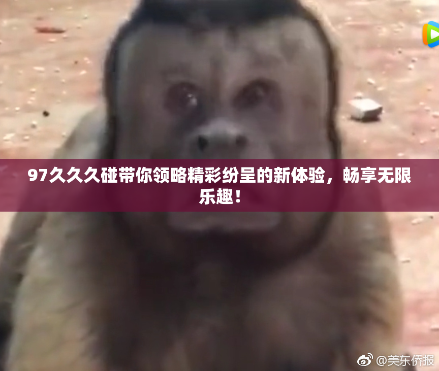 97久久久碰带你领略精彩纷呈的新体验，畅享无限乐趣！