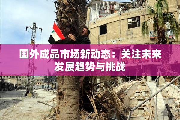 国外成品市场新动态：关注未来发展趋势与挑战