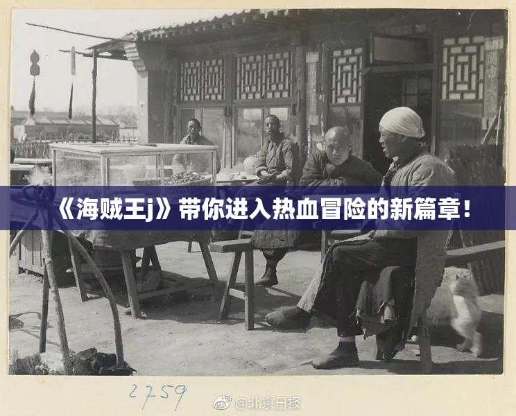 《海贼王j》带你进入热血冒险的新篇章！