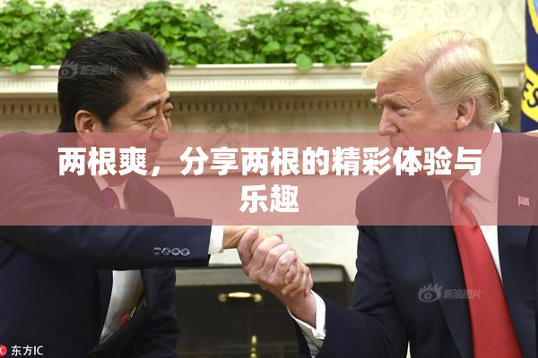 两根爽，分享两根的精彩体验与乐趣