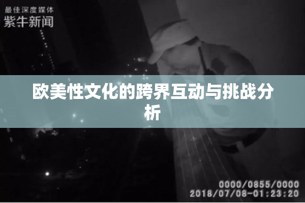 欧美性文化的跨界互动与挑战分析