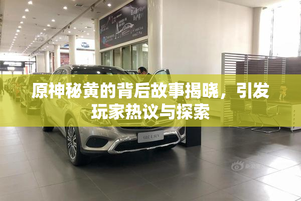 原神秘黄的背后故事揭晓，引发玩家热议与探索