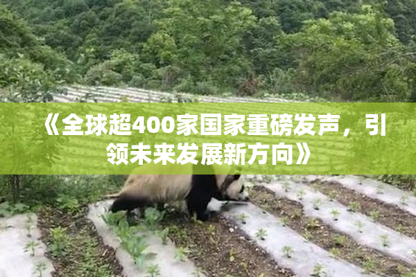 《全球超400家国家重磅发声，引领未来发展新方向》