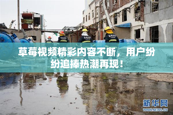 草莓视频精彩内容不断，用户纷纷追捧热潮再现！