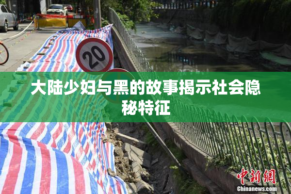 大陆少妇与黑的故事揭示社会隐秘特征