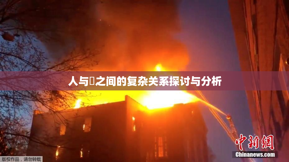 人与嘼之间的复杂关系探讨与分析