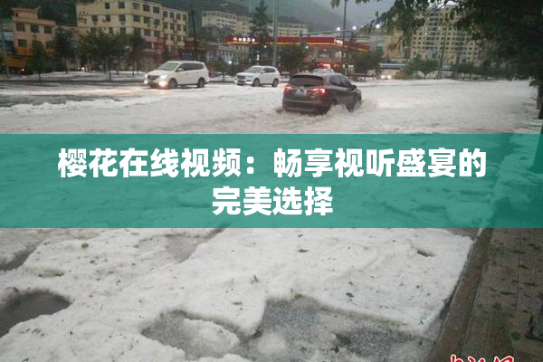 樱花在线视频：畅享视听盛宴的完美选择