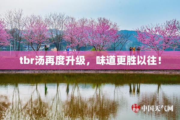 tbr汤再度升级，味道更胜以往！