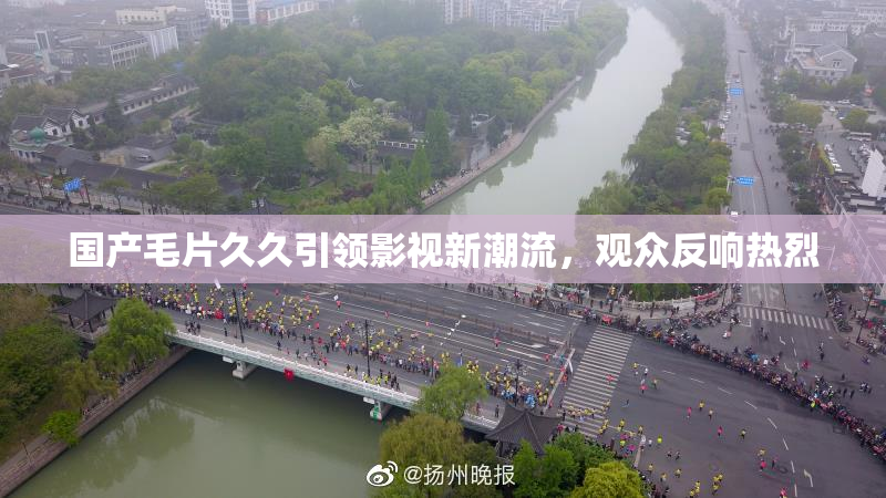 国产毛片久久引领影视新潮流，观众反响热烈
