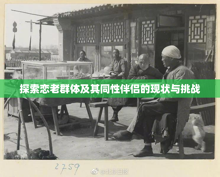 探索恋老群体及其同性伴侣的现状与挑战