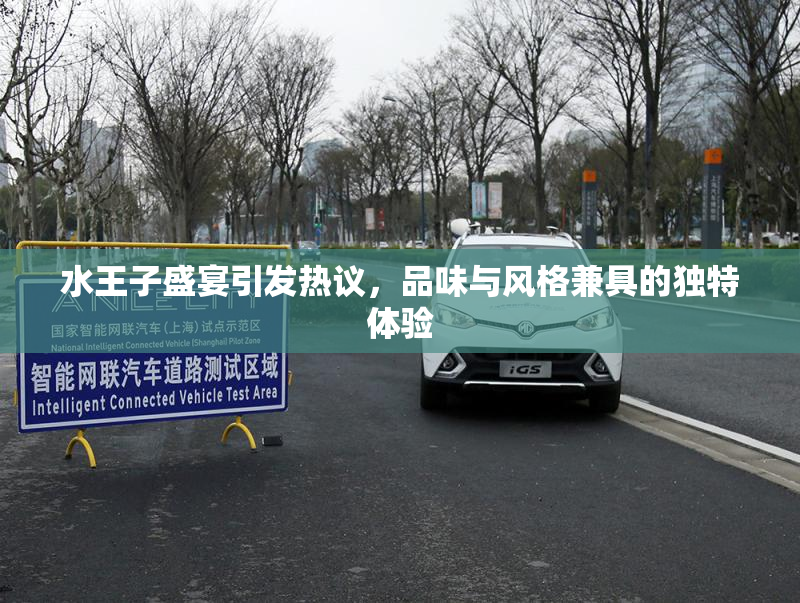 水王子盛宴引发热议，品味与风格兼具的独特体验