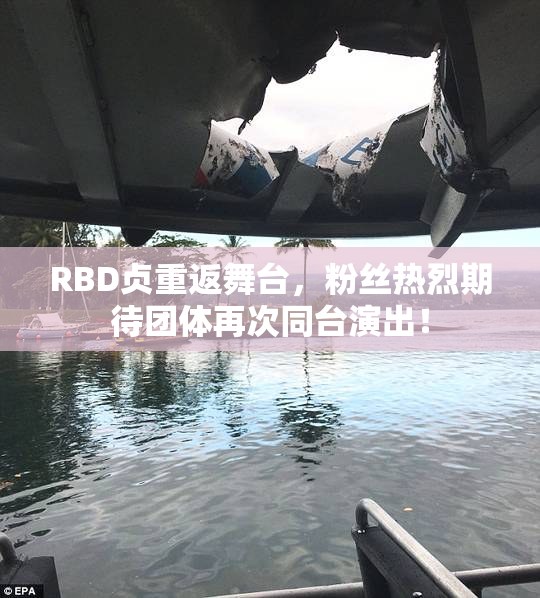 RBD贞重返舞台，粉丝热烈期待团体再次同台演出！