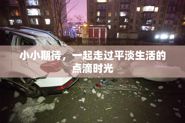 小小期待，一起走过平淡生活的点滴时光