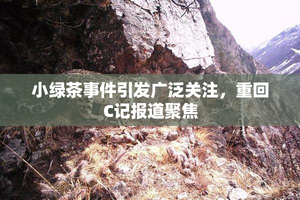 小绿茶事件引发广泛关注，重回C记报道聚焦