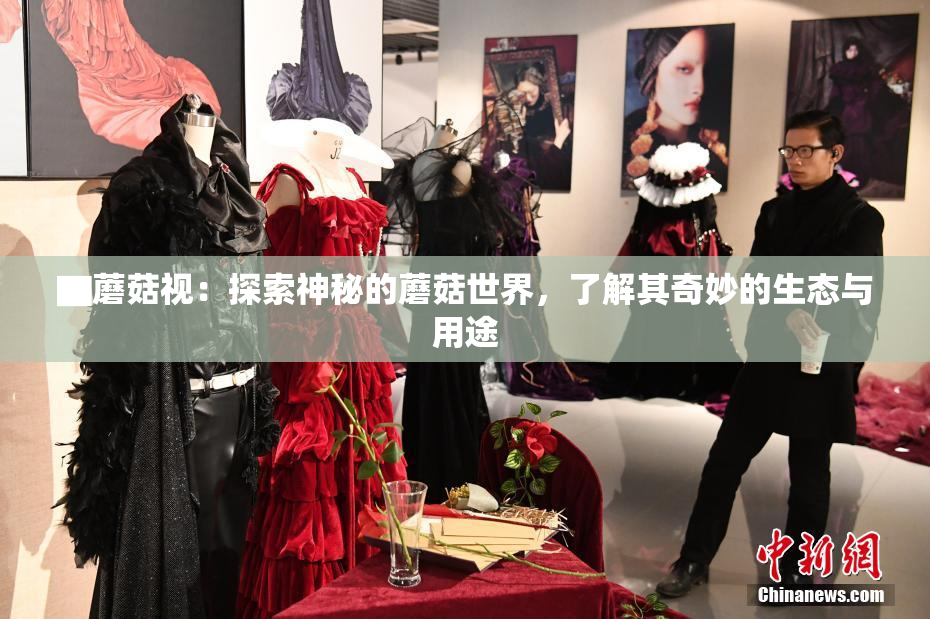 ▇蘑菇视：探索神秘的蘑菇世界，了解其奇妙的生态与用途