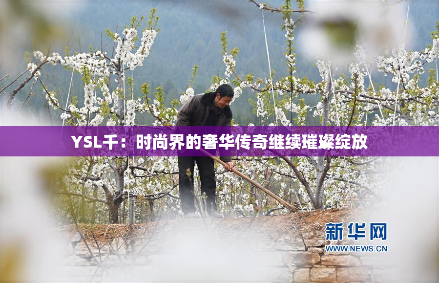YSL千：时尚界的奢华传奇继续璀璨绽放