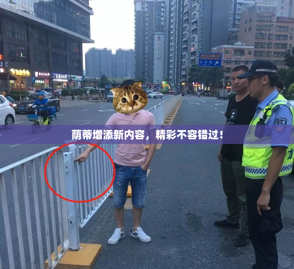 荫蒂增添新内容，精彩不容错过！