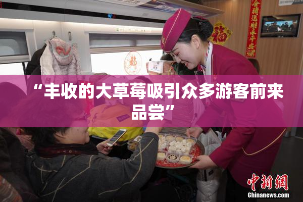 “丰收的大草莓吸引众多游客前来品尝”