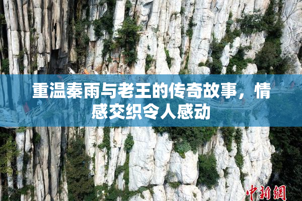 重温秦雨与老王的传奇故事，情感交织令人感动