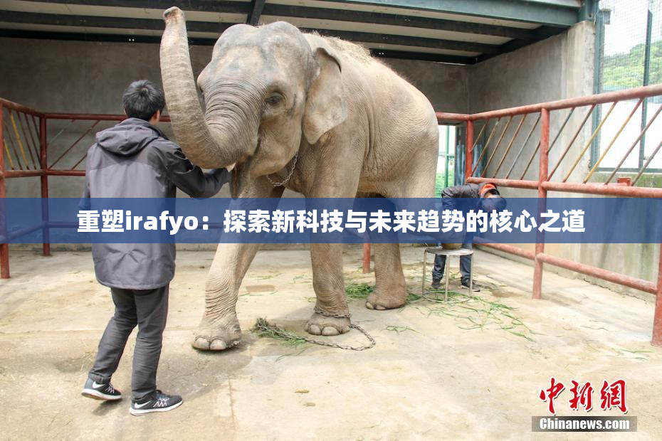 重塑irafyo：探索新科技与未来趋势的核心之道
