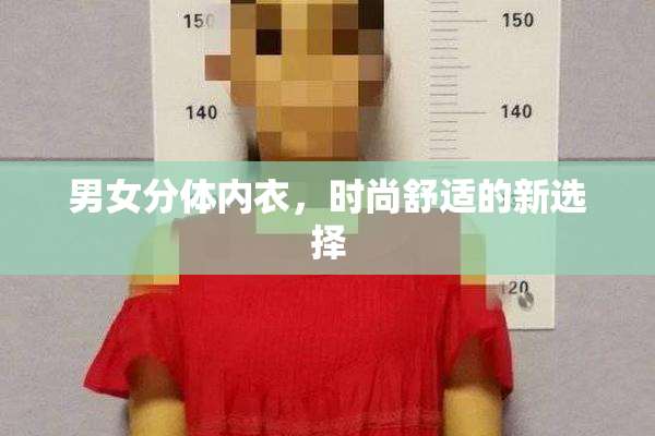 男女分体内衣，时尚舒适的新选择