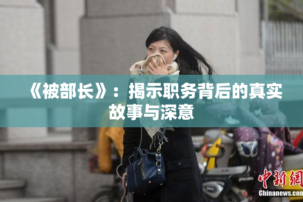《被部长》：揭示职务背后的真实故事与深意