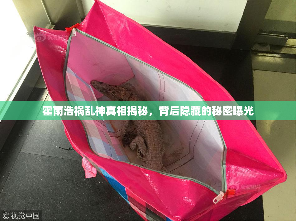 霍雨浩祸乱神真相揭秘，背后隐藏的秘密曝光