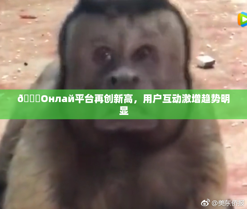 🐔Oнлай平台再创新高，用户互动激增趋势明显