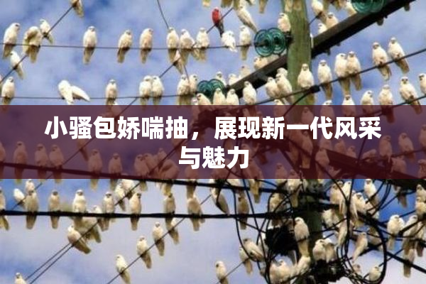 小骚包娇喘抽，展现新一代风采与魅力