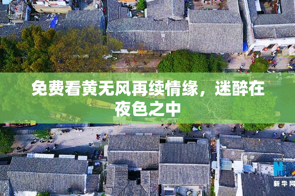 免费看黄无风再续情缘，迷醉在夜色之中