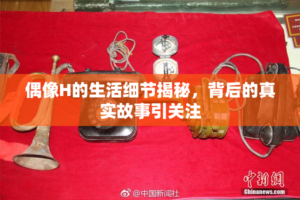 偶像H的生活细节揭秘，背后的真实故事引关注