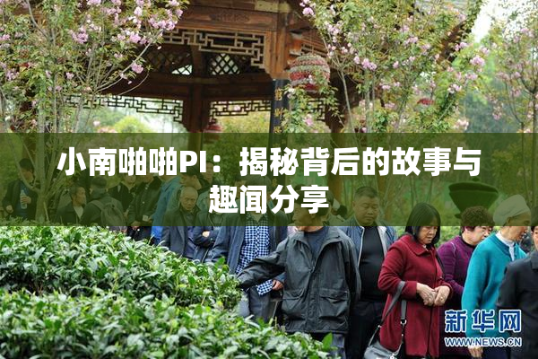 小南啪啪PI：揭秘背后的故事与趣闻分享