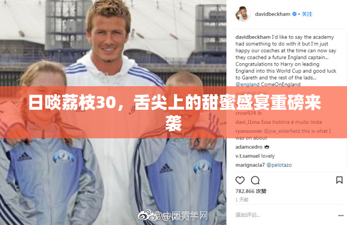 日啖荔枝30，舌尖上的甜蜜盛宴重磅来袭