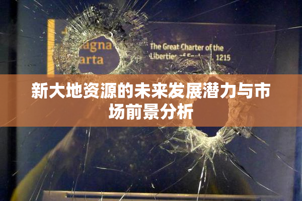 新大地资源的未来发展潜力与市场前景分析
