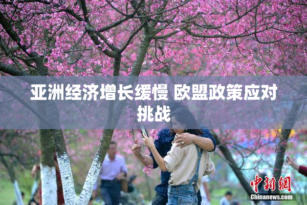 亚洲经济增长缓慢 欧盟政策应对挑战