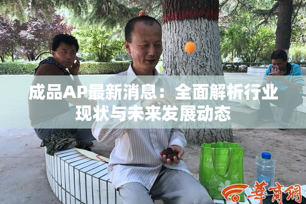 成品AP最新消息：全面解析行业现状与未来发展动态