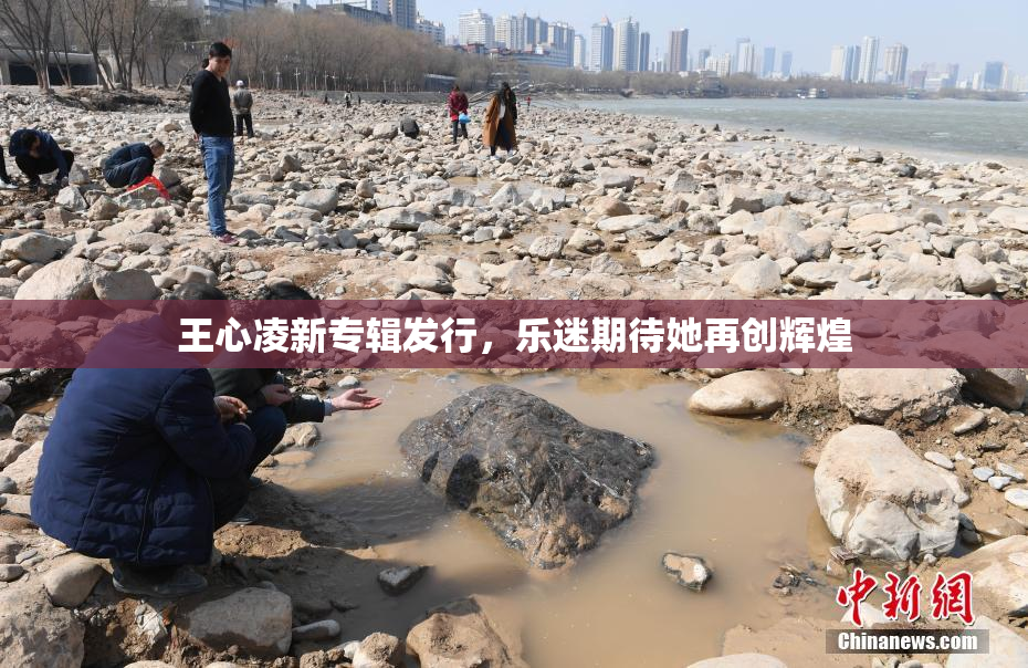 王心凌新专辑发行，乐迷期待她再创辉煌