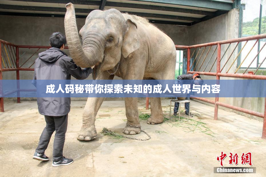 成人码秘带你探索未知的成人世界与内容
