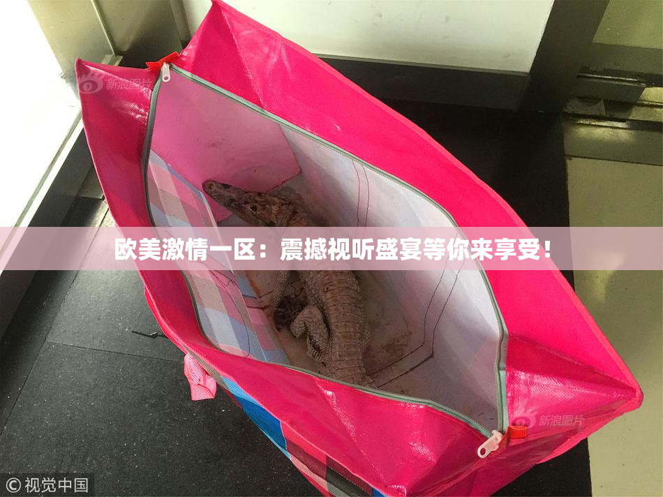 欧美激情一区：震撼视听盛宴等你来享受！