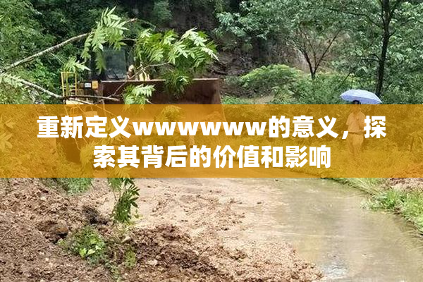 重新定义wwwwww的意义，探索其背后的价值和影响